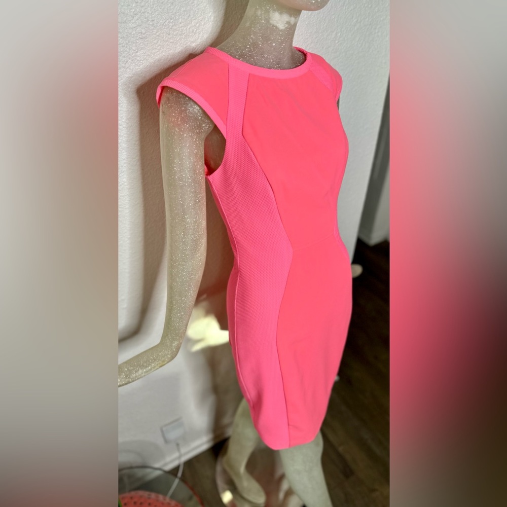 Ted Baker London Pink Midi Dress - Picture 6 of 15